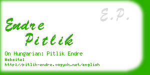 endre pitlik business card